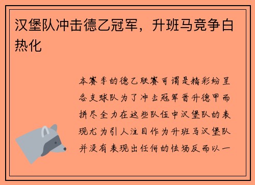 汉堡队冲击德乙冠军，升班马竞争白热化